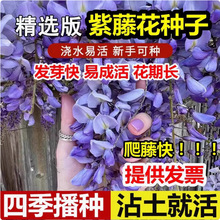 ٷNذٻ绨ܷNֲﻨNݰٷNļɲ