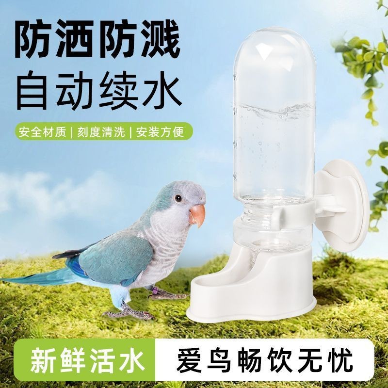 New parrot automatic waterer bird supplies kettle feeder bird and kettle bird waterer bird cage 4