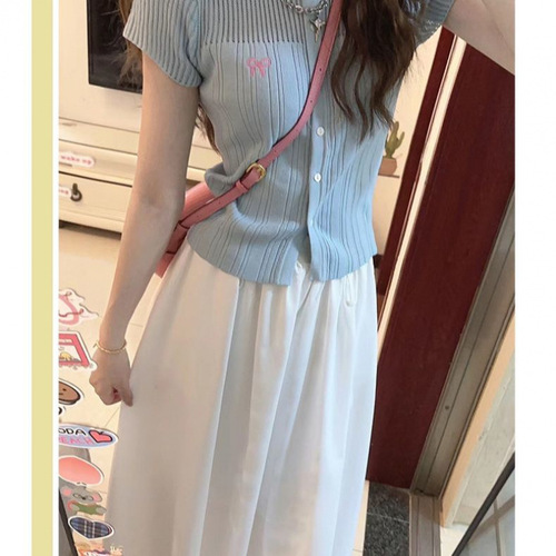 Women's Summer Thin High-Waist A-Line Slim Umbrella Skirt with Pleats Long Dress for Petite Ice Silk Yamamoto Skirt