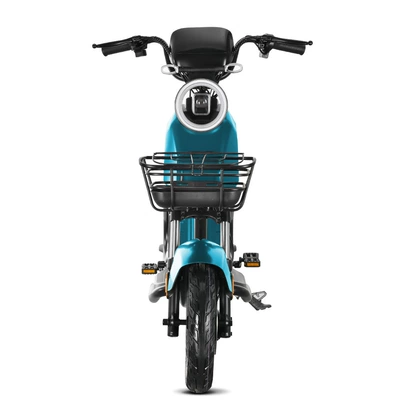 Lithium Battery, Elektrikli motosikletlər