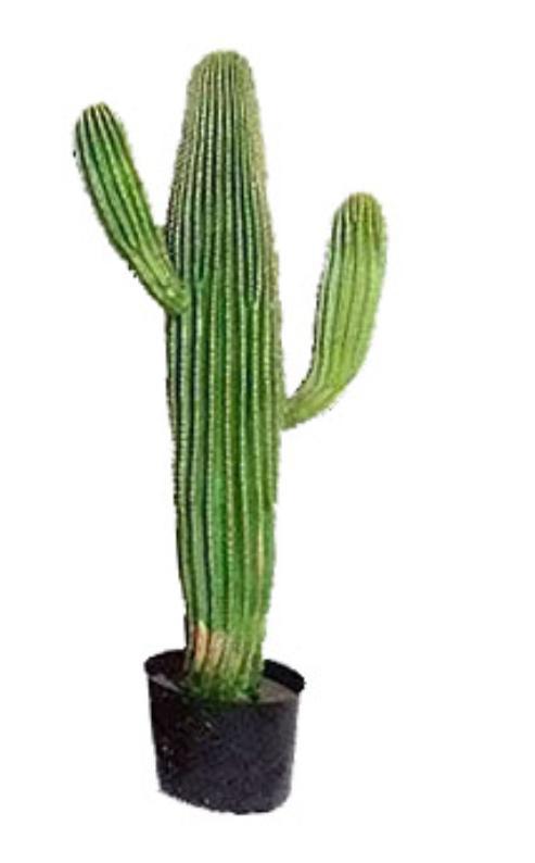 Simulación de cactus cactus en maceta gran planta tropical falsa columna de cactus escena interior decoración de ventana