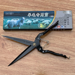 ���l��܎�Ə�����ë��   ��ë��  �ք���ë��   ����ë��  ���^��