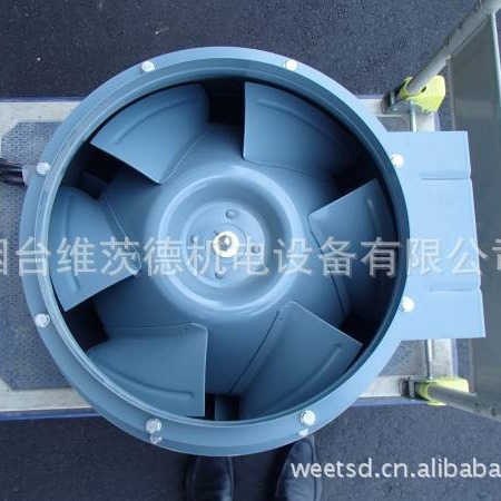 EBARA LFM3 FAN(EBARA LFM3风机)