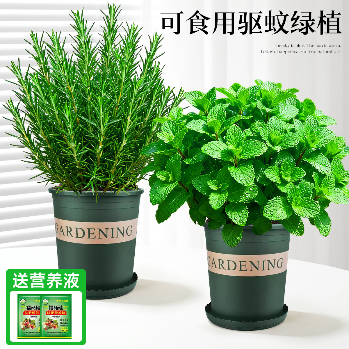 With simple planting pot
