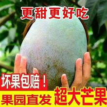 �P��â����֦���P��â��â����Ƥâ��������F���t���O��â����â
