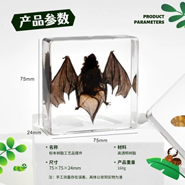 树脂工艺品;标本;工艺礼品项目