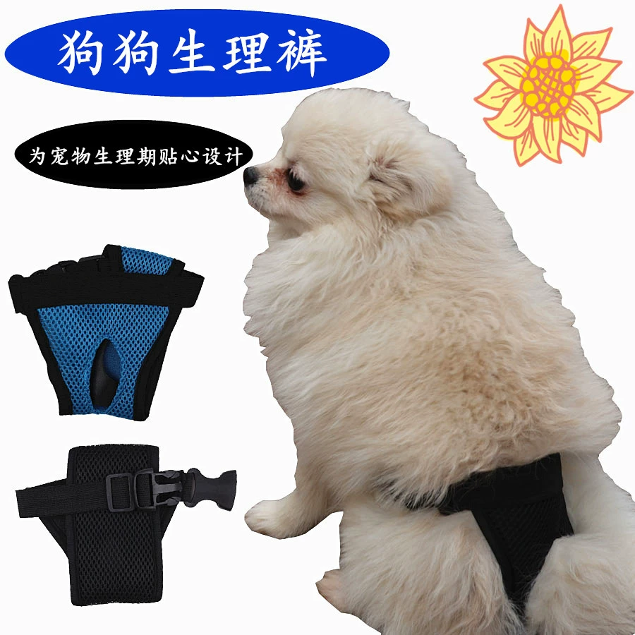 Трансграничные дышащие физиологические штаны для женских собак, менструальные штаны, сменные полотенца для домашних собак, штаны для тетей, защитные штаны для женских собак