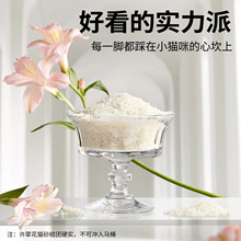 ��12����؛���S�仨ľ��ֲ��؈ɰ��ճ�ײ��ɛ_����