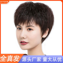 �ٰl�̰lŮ��������lȫ�^��������Ůʿ���lȫ���˰l���נC�ٰl��