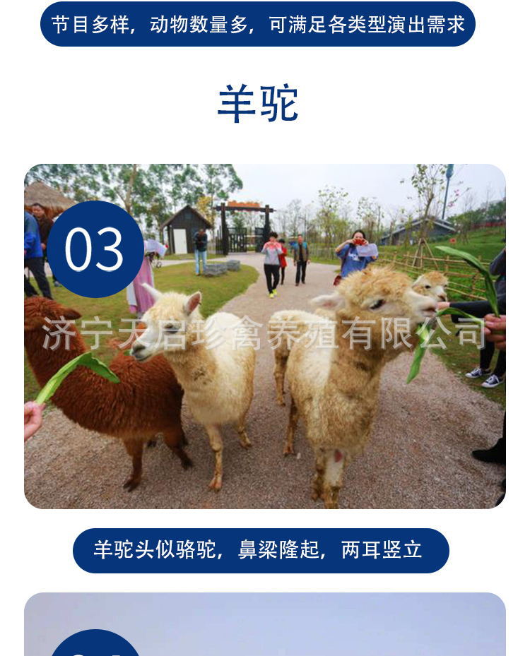 6bc63aaa96021d32a5de22a15ede70