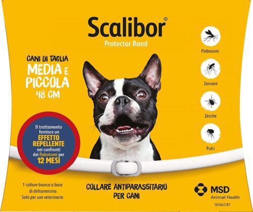 新型Scalibor犬猫はノミに行って虫を駆除する首輪アマゾンwishが国境を越えて起爆して調整できる|undefined