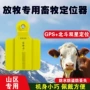 定位畜牧防丢4g耳标