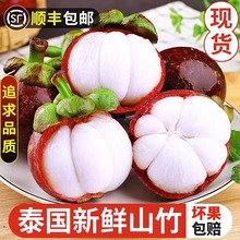 ɽ������̩���M�����r6A�������ЋDˮ����S���]����5��10��