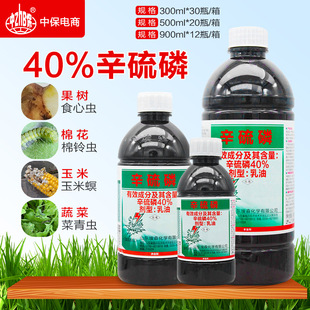 40%�����׹������xʳ���x����x�����������������x�rș���x��