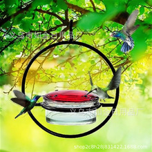 hummingbird feeder ���ٷ��Bιˮ��ι�B���b� �羳��Ʒ�S��ֱ�l