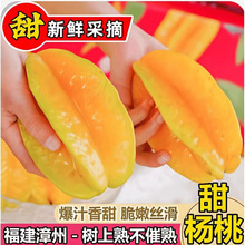 福建漳州甜杨桃水果 //斤鲜果新鲜红龙扬桃五角星阳桃一件代发