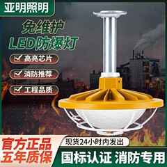 Led防爆灯倉庫工場工鉱灯工業工場専用屋外防水照明吊り棒三防灯