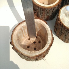 Creative wooden stakes, planters made of fir, camphor wood, raw wood, tree stumps, succulents, Dendrobium candidum, wooden, moss, pine bark