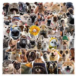 50�����ȸ�ք�����^�N�T�f�N���b��������֙C����ˮ�N�S�����l