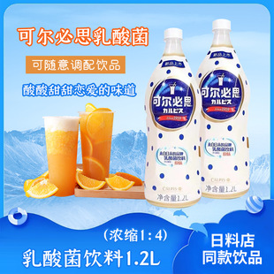 Kelbisi Concentrate Lactic Acid Bacteria Beverage Beneficent 1.2L Bottled Milk Tea Shop Commercial Whole Case Postage