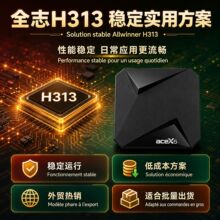 ���ޖ|�ρ�4K����ȫ־H313���Q��׿�ҕ����1+8 WiFi6�{���b��AV1