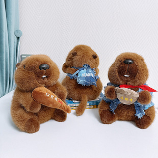 �ǳ���ؐ������������ë�q��ż�����������а���������l