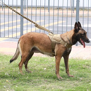 Outdoor Tactical Traction Dog Clothes Nylon Water-repellent Vest for Large and Medium Dogs and Dogs Nylon Chest Strap Pet Vest