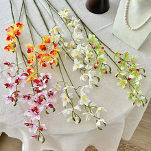 ����3��С�n�m�f���m���滨�ָмٻ������m�Ҿӿ͏d ��c�b���