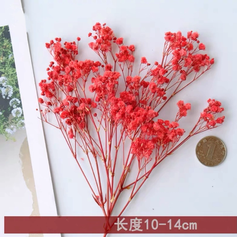 Floral aromatherapy, candle, materials set, photo frame, sample, handmade