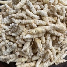 ��ʳ�Q��؛���x�������x�ݵ��Q���m���؅����l��؛��ʯ�Q��ë���Q