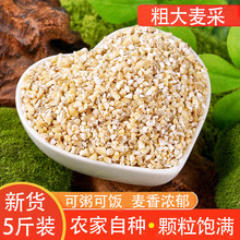 ���l�خa����s�Z������Ӵ����R������������s����ُ