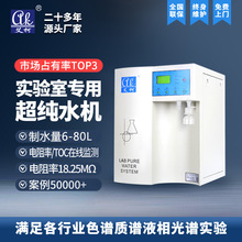 新能源研发专用实验室超纯水机 能源检测 10L~100L/H EDI 设备​