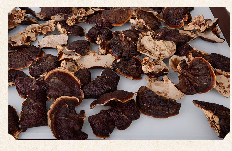 Changbai Mountain Reishi Young Buds Ling Zhi 500g Dried Slices for Soup and Hot Pot specifications