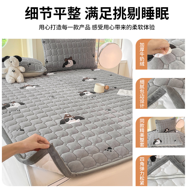 A clase de colchón de terciopelo de leche grueso invierno cálido colchón de cama de terciopelo de coral dormitorio hogar colchón plegable A
