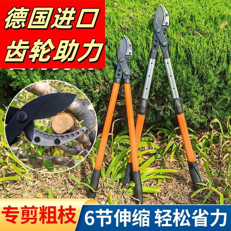 Corte de engranajes alemana tijeras de ramas gruesas jardín árboles frutales poderosas tijeras grandes extensibles tijeras de ramas altas tijeras altas