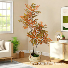 ����ֲ���¿���ľ����㴻�������挍�ָ��m���쾰����