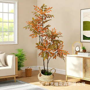 ����ֲ���¿���ľ����㴻�������挍�ָ��m���쾰����