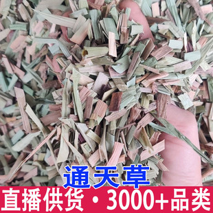 ͨ��� ݩ�j�� ������ ݩ�j��  ����ă�