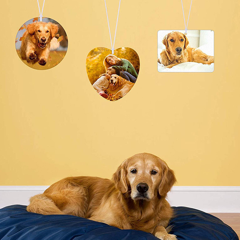 O1CN01SGWcqK1JGxWu1p5ac_!!3615