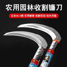�L��砵�SK5䓾G����ݸ����׸����r�ø����ӿ���֦������砿羳