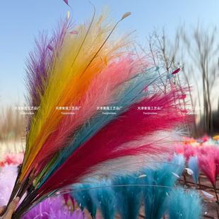 7ëPβȸݟbc滨lYT̨·bë