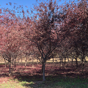 15���~����U�����~�����������~����2���������~����СǤ��