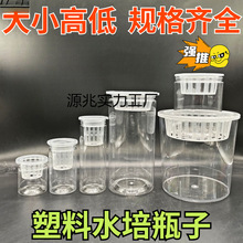 ͸������ˮ�໨��A���Ύ���ֲ�@��ˮ��ˮ���߲˶��ӷN�ӻ��ܾGֲ