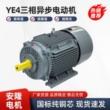 ��������YE4�����첽�綯�� 2����Ч  �ͺŶ���  �������