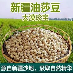 批发新疆油莎豆地下核桃营养新鲜油莎豆高营养健康油莎豆豆类零食