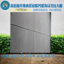 建築外牆裝飾纖維水泥壓力板 內外牆板工程用防火防潮三防板現貨