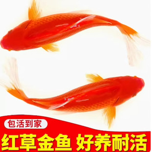 ��ˮ�~���B����ˮ�^�p�~�t���a�~�ͻ�С���~�ݽ��~��ˮ�~ιʳ����