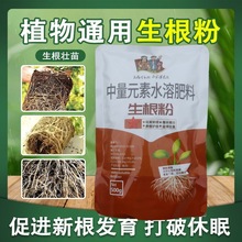 植物快速生根粉树木生根剂生根液花卉扦插大树移栽发根剂果树通用