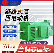 山东华力电机厂家直销YR系列绕线式高压三相异步电动机高效节能