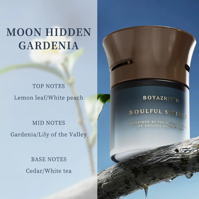 Balm Scented Car Interior High-End | Car Perfume Aromatherapy